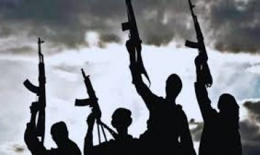 मध्य बुर्किना फासो में आतंकी हमले में कम से कम 100 लोगों की मौत