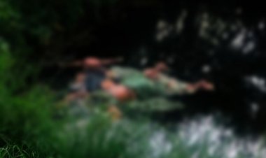 लापता महिला और 2 बच्चों का शव कुएं में मिला:बीसावाड़ी गांव की घटना, बंडोल पुलिस जांच में जुटी, पति से हुआ था विवाद