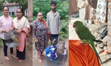 प्रतिबंध आदेश के बाद तोता पालने वाले आ गए थे टेंशन में