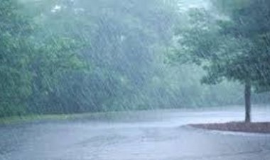 छत्तीसगढ़ में अब तक 908.8 मि.मी. औसत वर्षा दर्ज