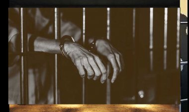 विद्युत चोरी में आरोपियों को 1-1 लाख रूपये से अधिक के अर्थ दंड सहित 3-3 माह का कठोर कारावास