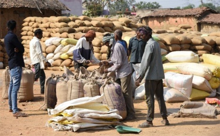 छत्तीसगढ़ के किसानों को मिल रहा धान का देश में सर्वाधिक मूल्य