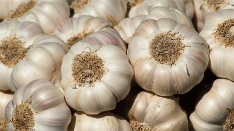 एमपी हाईकोर्ट ने सुनाया फैसला, किसानों को मिली बड़ी राहत