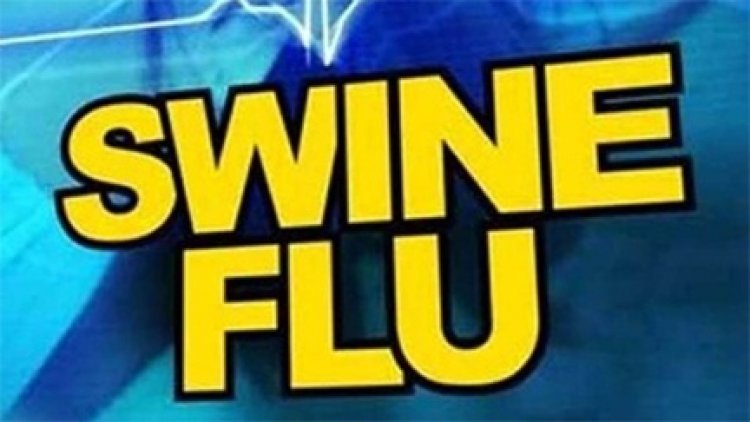 प्रदेश में तेजी से फैल रहा स्वाइन फ्लू