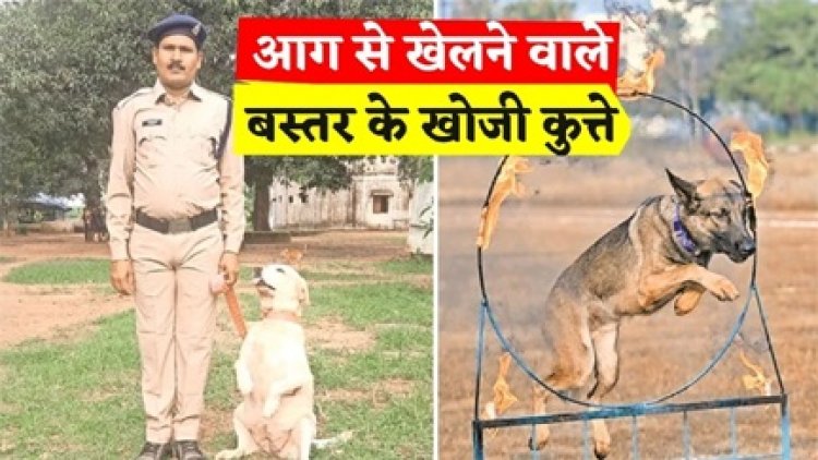 नक्सलियों के बिछाई 4 हजार किलो से अधिक विस्फोटक खोजे,बस्तर के स्निफर डॉग्स