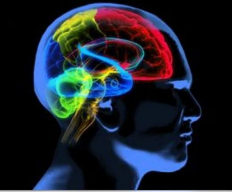 प्रोस्टेट कैंसर से अल्जाइमर का खतरा क्यों बढ़ जाता है?