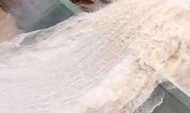 जोहिला डेम का एक गेट खोलकर छोड़ा जा रहा पानी:गेट नंबर 3 को 0.5 मी खोला गया, जिले में 892.1 मिमी बारिश दर्ज।