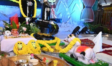 विष्णु भैया संग तीजा पोरा महतारी वंदन तिहार