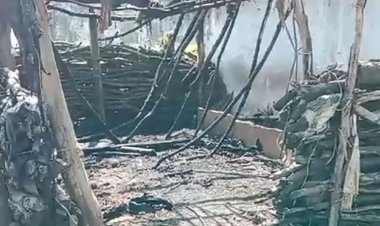 छपरे में लगी आग:चार भैंसे बुरी तरह झुलसी; ट्रक ने दो गायों को रौंदा, मौत