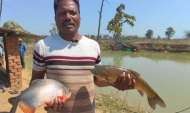 मछली पालन से समृद्ध हो रहे किसान
