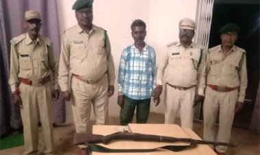 वन विभाग ने हनुमान लंगूरों के अवैध शिकार के मुख्य आरोपी को किया गिरफ्तार