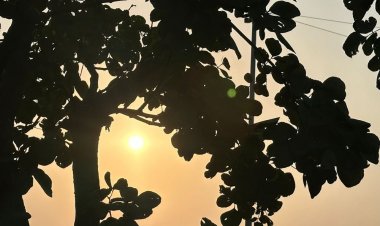 अगले तीन दिन बारिश के आसार नहीं, धूप खिली रहेगा:गांधी सागर बांध का जलस्तर 1310.40 फीट पहुंचा