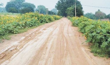 सवा 4 करोड़ से बनेगी पक्की सडक़, ग्रामीणों में खुशी