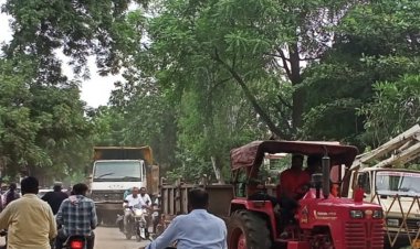 9 करोड़ की लागत से बनेगा डिवाइडर:तैयारी में जुटी नपा, डिवाइडर निर्माण से पहले शुरू हुई पेड़ों की कटाई