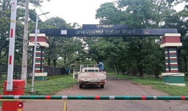 एटीआर में नए रूट पर सैर करने पर्यटक रहें तैयार