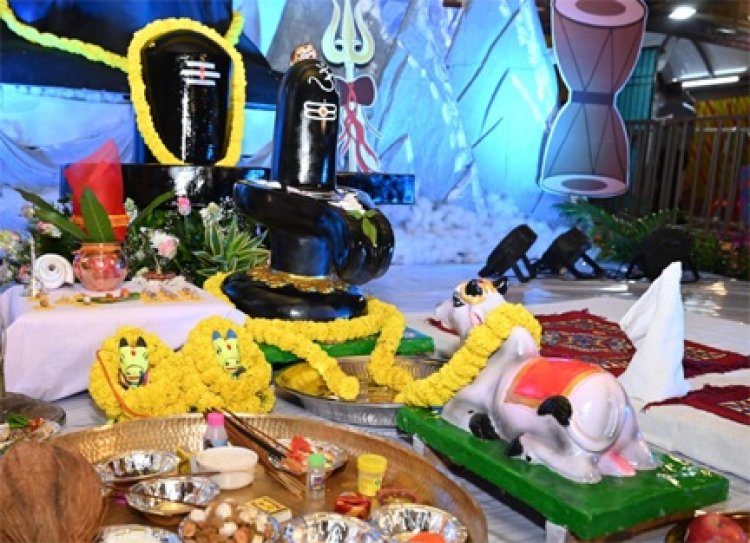 विष्णु भैया संग तीजा पोरा महतारी वंदन तिहार