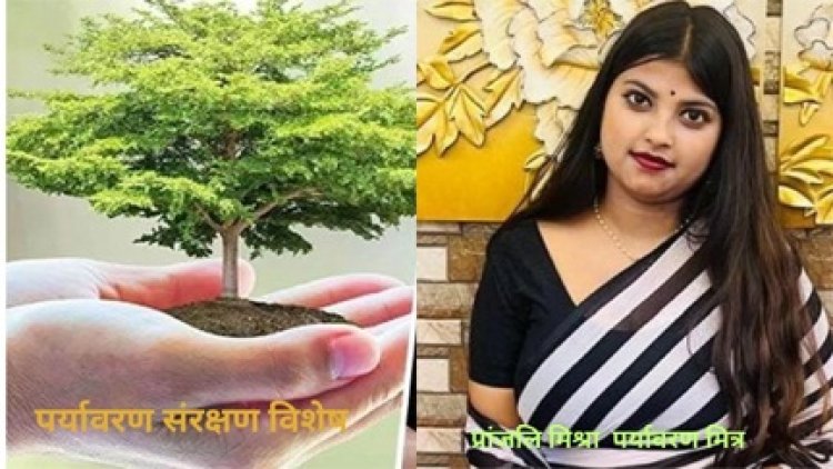 कागज की खपत कम करें, वृक्ष बचाये