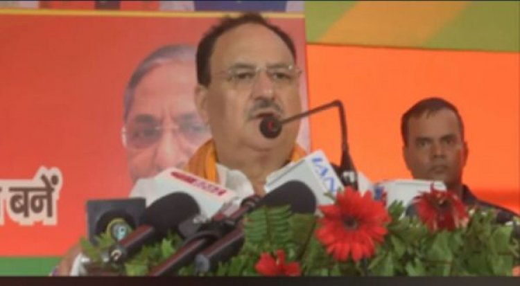 भाजपा किसी जाति, परिवार या विशेष समुदाय की नहीं, पूरे समाज की पार्टी है : जेपी नड्डा