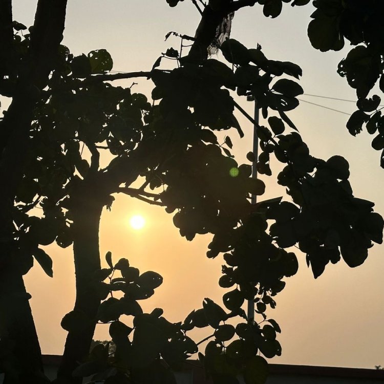 अगले तीन दिन बारिश के आसार नहीं, धूप खिली रहेगा:गांधी सागर बांध का जलस्तर 1310.40 फीट पहुंचा