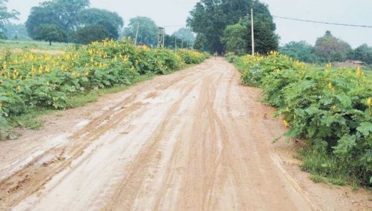 सवा 4 करोड़ से बनेगी पक्की सडक़, ग्रामीणों में खुशी