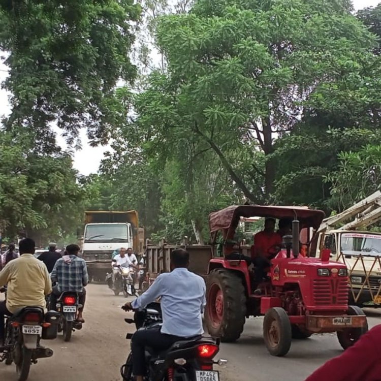 9 करोड़ की लागत से बनेगा डिवाइडर:तैयारी में जुटी नपा, डिवाइडर निर्माण से पहले शुरू हुई पेड़ों की कटाई
