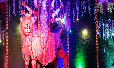 भिंड में शारदीय नवरात्र उत्सव:पंडालों में सुबह होती है देवी की मंगला आरती, रात में भजन-कीर्तन; दर्शन के लिए पहुंच रहे श्रद्धालु