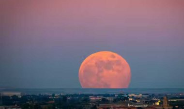 आज की रात रहेगी सबसे चमकीली, शरदोत्सव में चांदनी बिखेरेगा सुपरमून; नजारा होगा अद्भुत