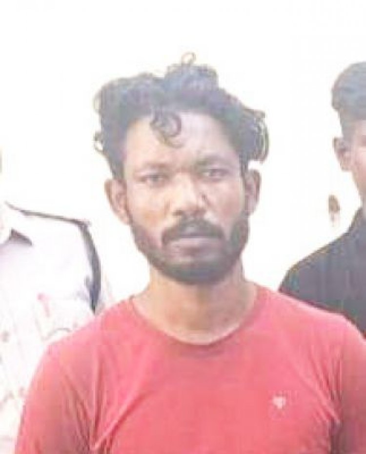 महिला से छेडख़ानी, आरोपी गिरफ्तार