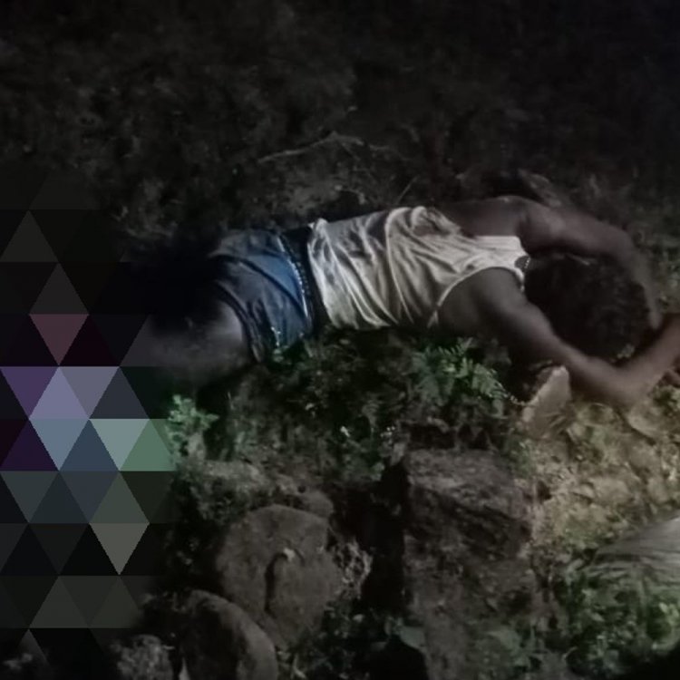 सिंगरौली में भालू के हमले में एक की मौत:जंगल में लकड़ी बीनने गए थे ग्रामीण; दो घायल, मौके पर पहुंची पुलिस और वनकर्मी