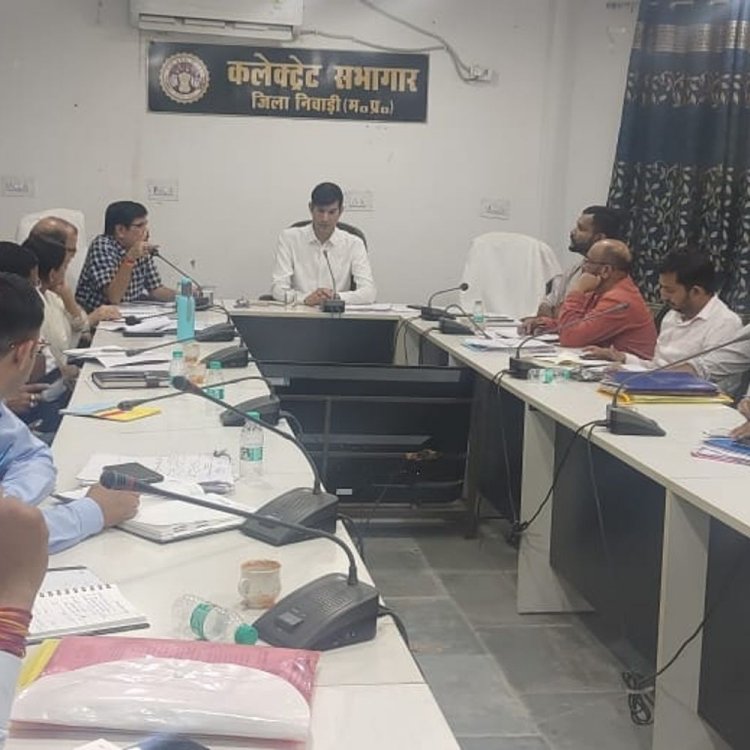निवाड़ी में राजस्व विभाग की बैठक:कलेक्टर ने लंबित मामलों की समीक्षा की, जल्द समाधान करने के निर्देश