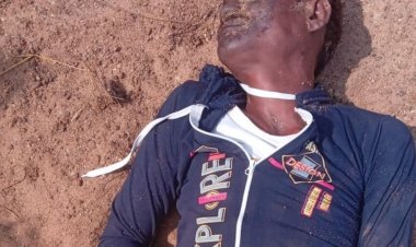 शहडोल में करंट से दो भाइयों की मौत:खेत में जंगली जानवरों को मारने के लिए फैलाया गया था करंट