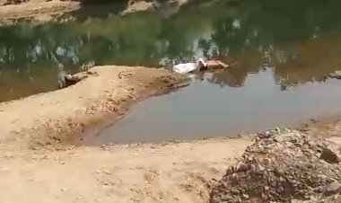 पिकनिक मनाने गए युवक की नदी में डूबने से मौत:7 दोस्तों के साथ छोटा जबलपुर घूमने गया था, नहाते समय डूबा