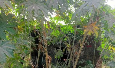 महीनों से बंद पड़ा बरगवां का चीरघर, शवों के पोस्टमार्टम के लिए लोगों को करना पड़ रहा बैढन का रुख