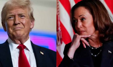 डोनाल्ड की बढ़त को शेयर बाजार का सलाम… Sensex-Nifty ने लगाई दौड़, ये 10 शेयर बने रॉकेट