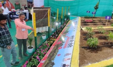 छत्तीसगढ़ राज्योत्सव में संचालनालय उद्यानिकी द्वारा तैयार बागवानी का आकर्षक जीवंत प्रदर्शन