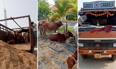 छत्‍तीसगढ़ में गो तस्करी का भंडाफोड़