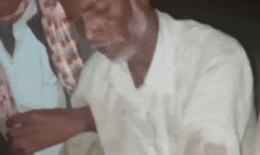 विजयपुर उपचुनाव; कई आदिवासी गांवों में फायरिंग:धनाचया के बाद​​​​​​​ दंगपुरा में आदिवासियों पर बरसाई गोलियां, एक घायल; पातालगढ़ और झरेर गांव में मारपीट