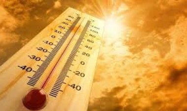 सबसे गर्म साल बनने की राह पर है साल 2024 - विश्व मौसम विज्ञान संगठन