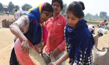 13,000 कर्मचारी हड़ताल और राइस मिलरों का विरोध, किसानों की बढ़ी परेशानी