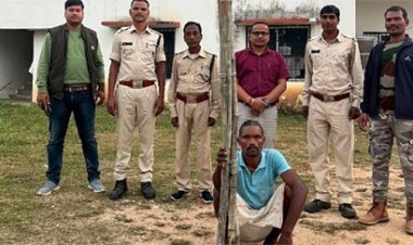 करंट प्रवाहित तार के संपर्क में आने से हाथी की मौत के बाद हटाए जा रहे हुकिंग वाले बिजली तार