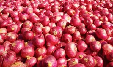 घटेंगी प्याज की कीमतें, नासिक से पहुंच गई है 50 ट्रक से भी ज्यादा माल लेकर ‘कांदा एक्सप्रेस’