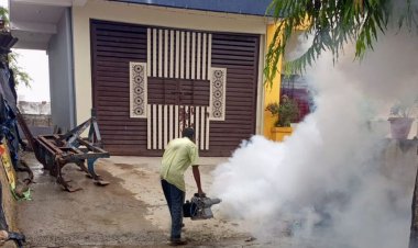 धार सहित ग्रामीण क्षेत्रों में बढ़े डेंगू के मरीज:9 माह में 321 मामले सामने आए, स्वास्थ्य विभाग अलर्ट