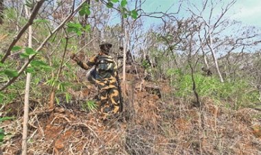 छत्‍तीसगढ़ में नक्‍सलियों के खिलाफ फिर बड़ा ऑपरेशन