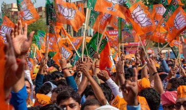 छत्‍तीसगढ़ भाजपा में संगठनात्मक बदलाव, 14 से 20 नवंबर तक बूथ स्तर पर चुने जाएगे पदाधिकारी