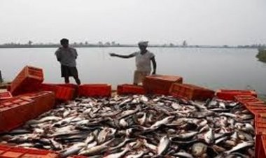 मछली नदी में सिंचाई के लिए बनेगा स्टापडेम