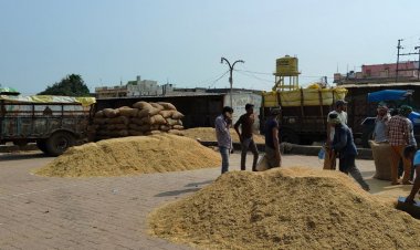 दुकानदारों के लिए बनवाए शेड तुलाई में हो रहे उपयोग:नपा ने खर्च किए लाखों रुपए, लोगों को आवागमन में हो रही परेशानी