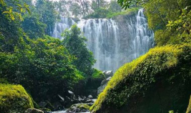 ‘जलवायु अनुकूल छत्तीसगढ़’ विषय पर कार्यशाला 26 नवंबर को