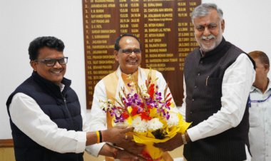 रावत की हार से वन मंत्री के लिए लॉबिंग शुरू:विजय शाह, नागर सिंह दिल्ली में एक्टिव; रामनिवास के इस्तीफे पर सीएम करेंगे फैसला