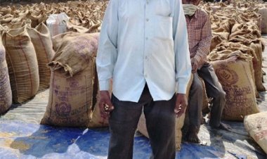 किसानों को मिल रहा मेहनत का फल, सरकार की व्यवस्था हो रही सफल