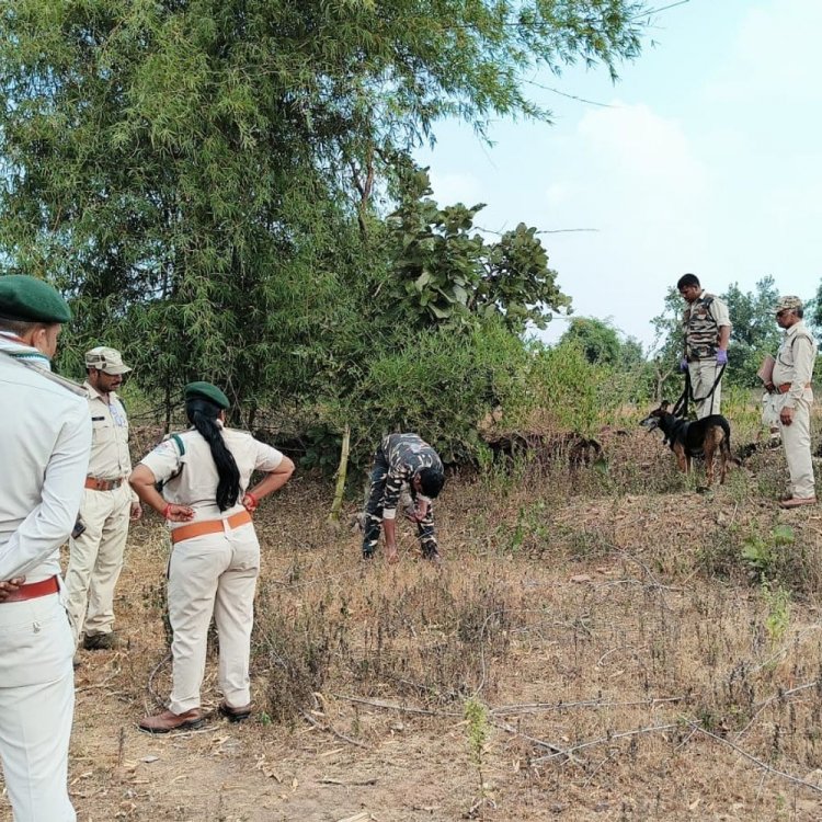 पन्ना में शिकारियों को वन विभाग ने पकड़ा:तार और खूंटी से लगा था सुराग, भालू का शिकार करने का आरोप था